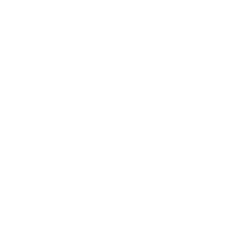 VIP поддержка